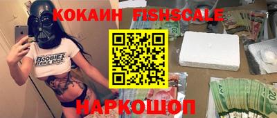 шишки Дубна