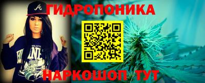 шишки Дубна