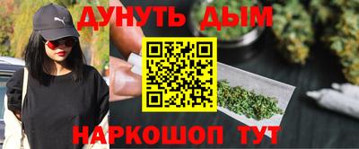 шишки Дубна