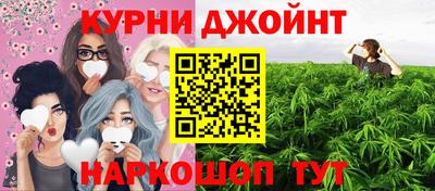 шишки Дубна