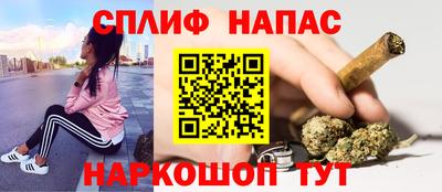 шишки Дубна