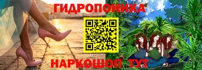 шишки Дубна