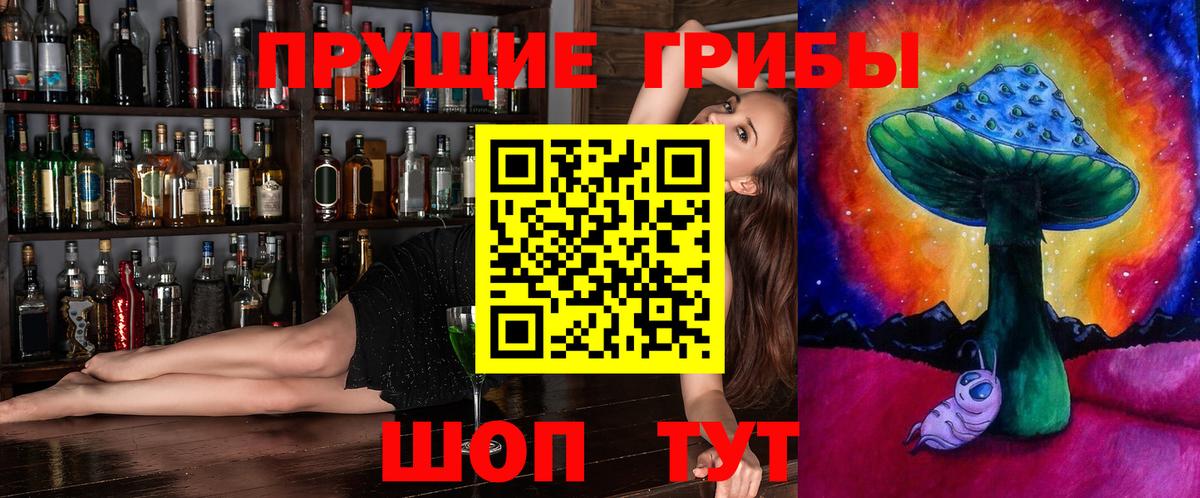Псилоцибиновые грибы Cubensis  Псилоцибиновые грибы MAGIC MUSHROOMS  Гатчина 
