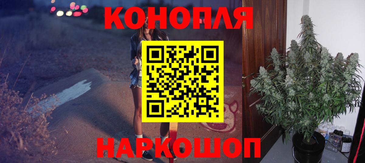 Марихуана сатива  Канабис Ganja  Гатчина  Каннабис сатива 